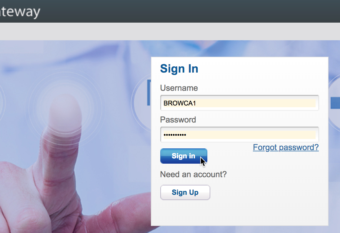 usps webtools user id